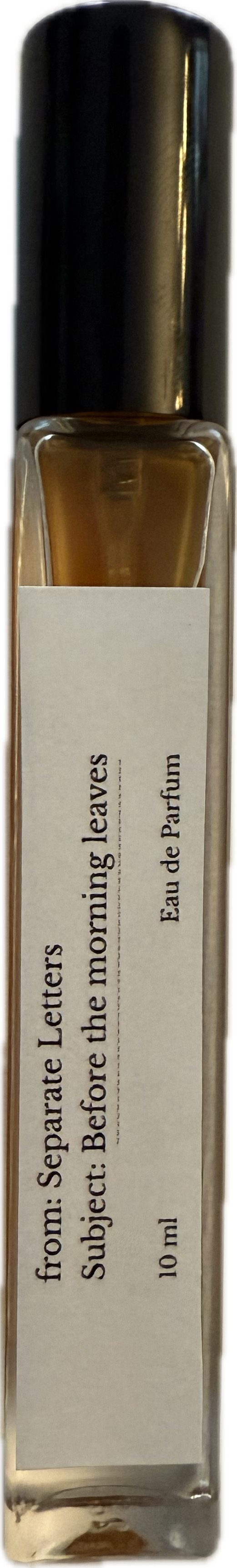 Before the morning leaves